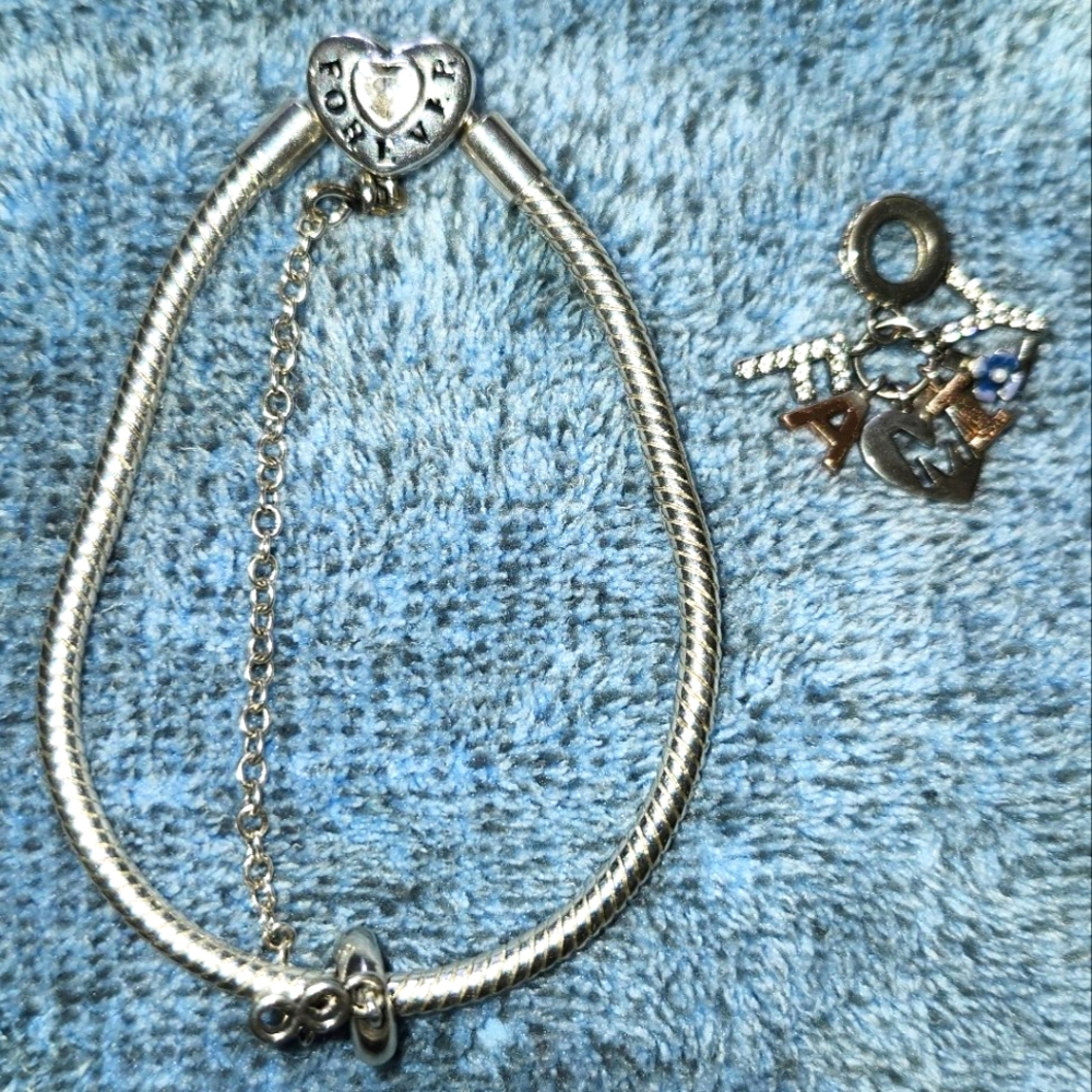 Pandora-like But NOT PANDORA Silver Plated Bracelet With 'Family' Charm